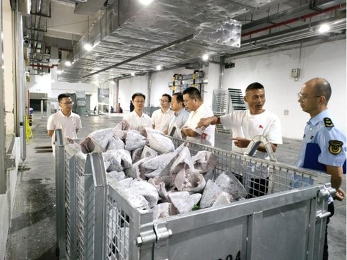 浙江舟山定海强化重点地产食品风险隐患治理