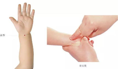 各病症的速效推拿治疗 26种图解操作手法,收藏
